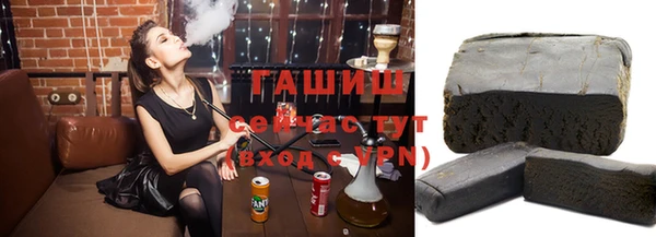 тгк Бердск