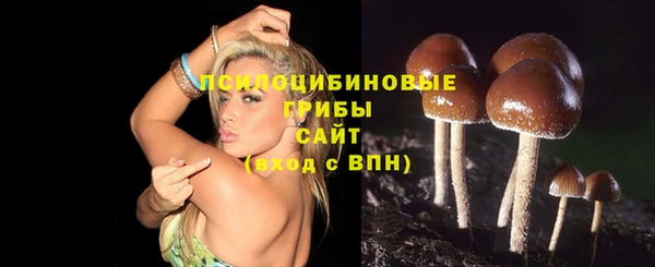 мяу мяу мука Медвежьегорск