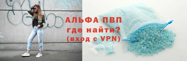 тгк Бердск