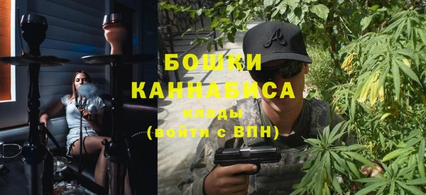 тгк Бердск
