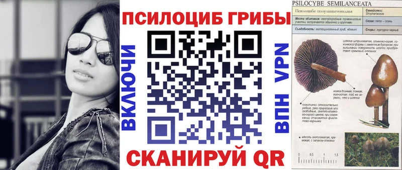 Галлюциногенные грибы прущие грибы  Вилюйск 
